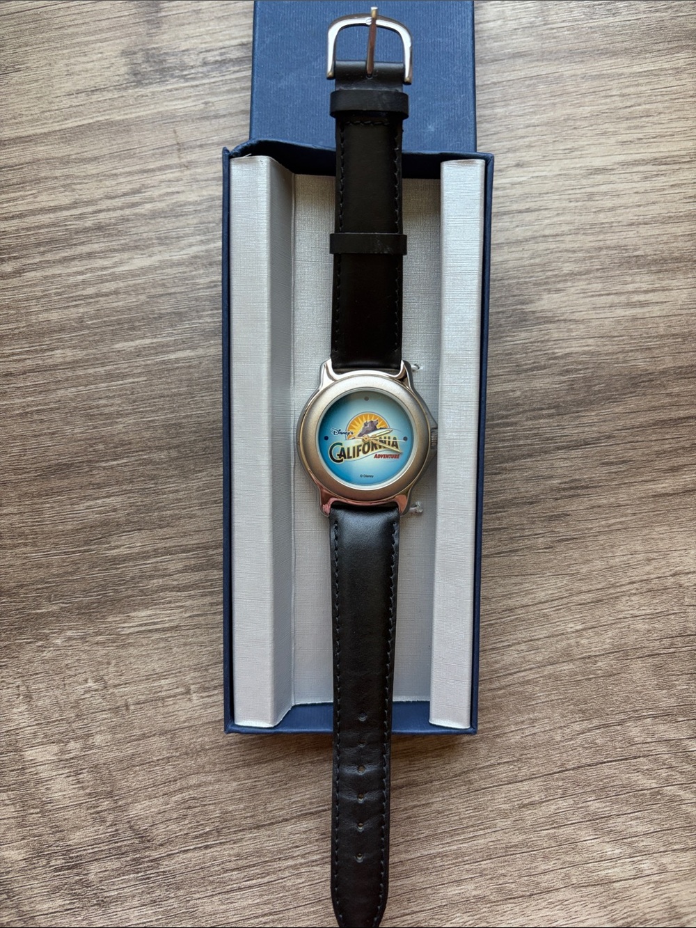 Disney California Adventure Watch with Black Leather Strap